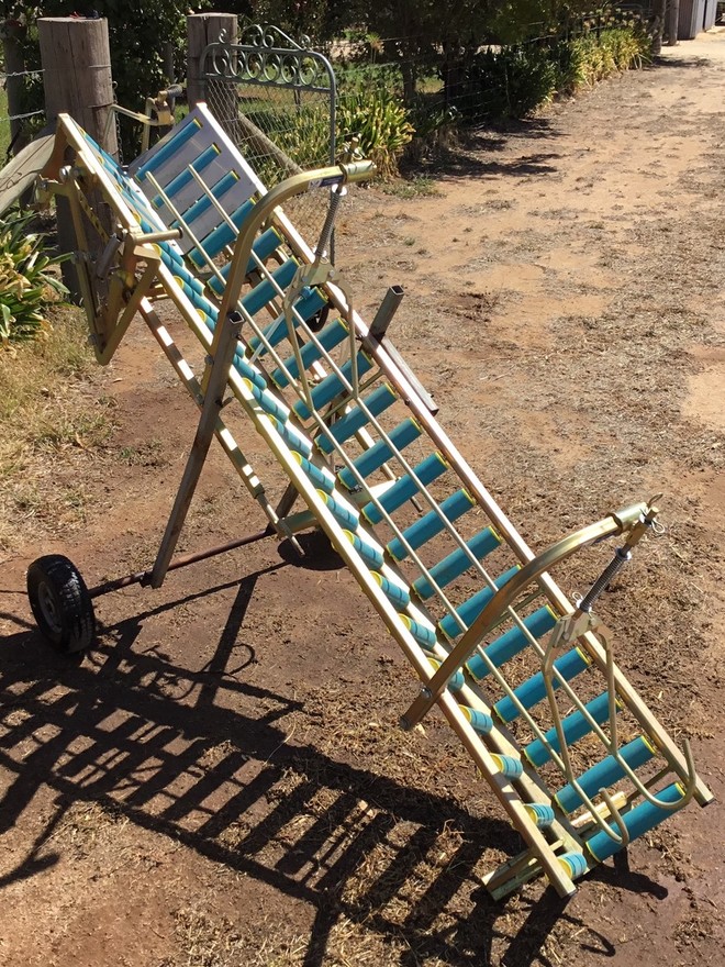 Lamb marking chute Vetmarker Livestock Equipment Livestock